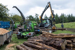 Treeline Open Day 2023