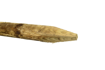 Pointed Deer Stob / Stay 75-90mm x 2.6m
