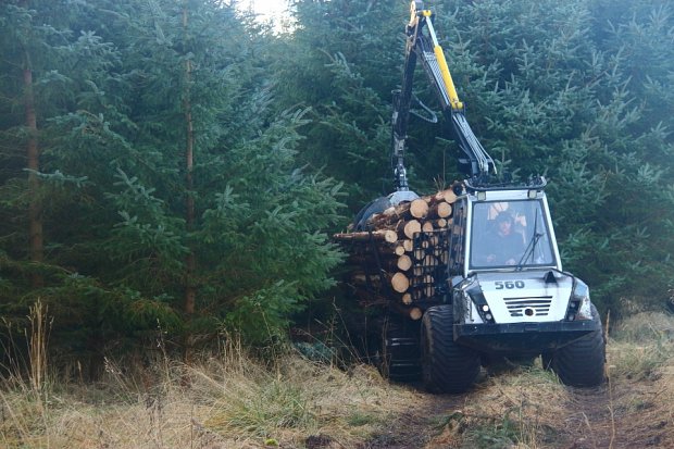 Another load of 3m chipwood coming out of a first thinning