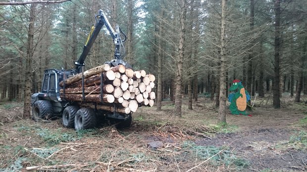 Dodging dragons while extracting a rare load of 3.7m logs from a first thinning