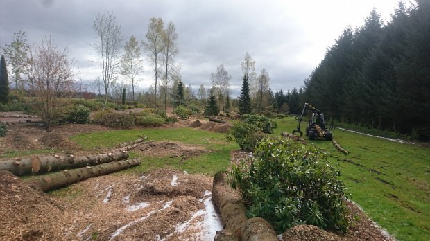 Enjoying the extremely low ground pressure extracting timber from a large garden