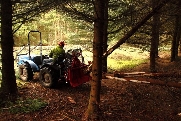 Before being pulled off their stumps and gathered behind the tractor using the winch