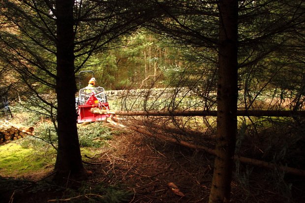 Our alpine tractor with skidding winch removing whole trees from the woodland