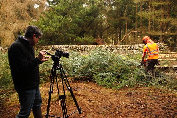 Craig processing the trees at the edge of the wood